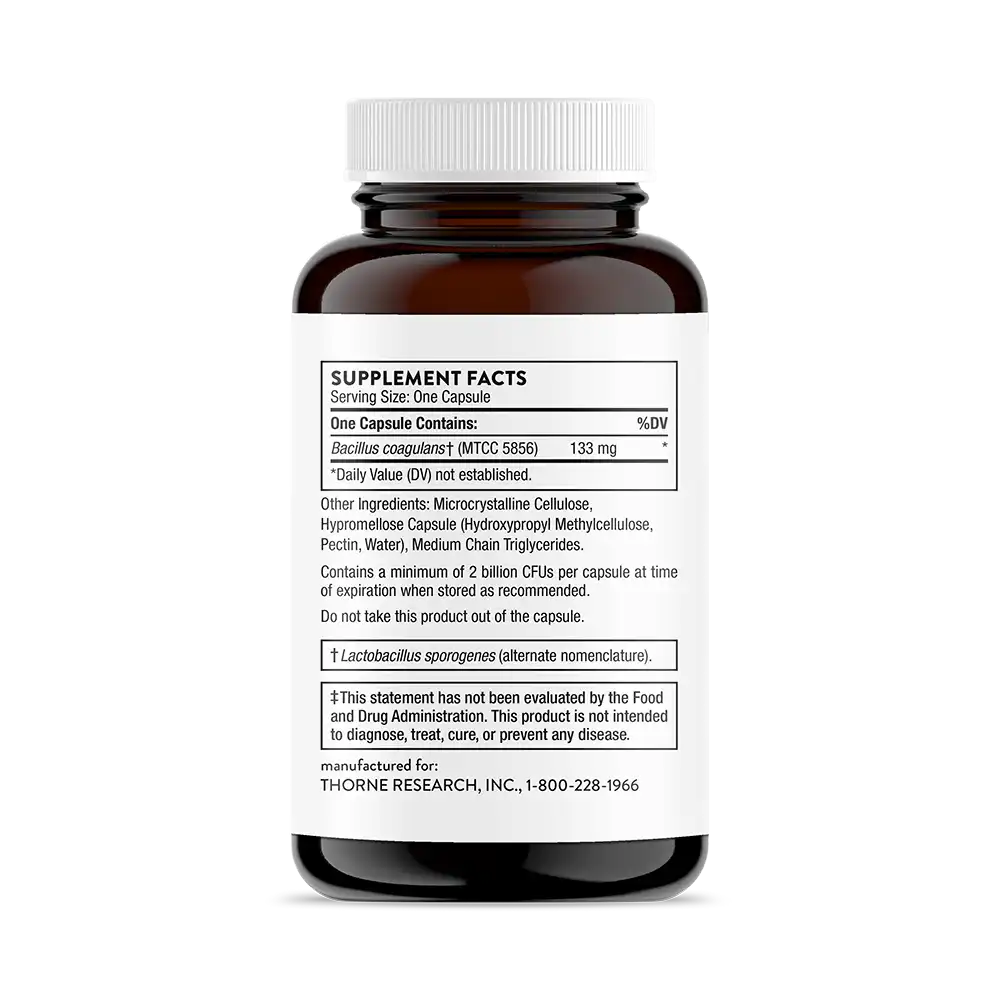 Bacillus Coagulans