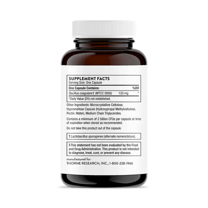 Bacillus Coagulans