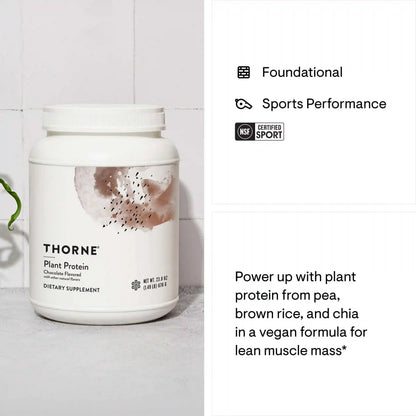 Plant Protein - Vanilla
